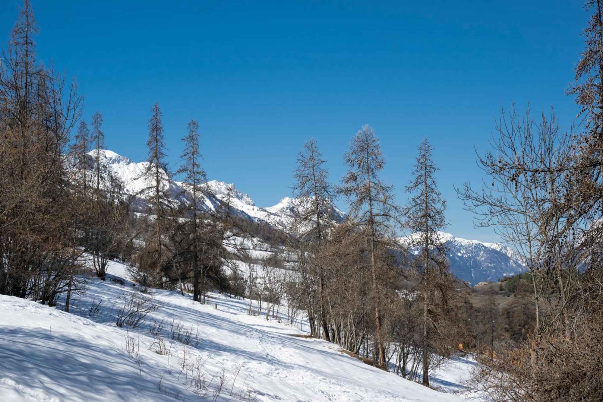 Doux Crepuscule - Au Bord Des Pistes - Parking Lejlighed Enchastrayes Eksteriør billede